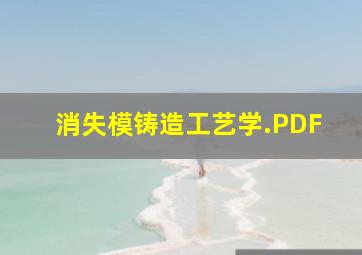 消失模铸造工艺学.PDF