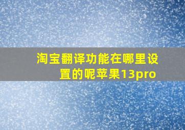 淘宝翻译功能在哪里设置的呢苹果13pro