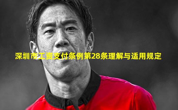深圳市工资支付条例第28条理解与适用规定