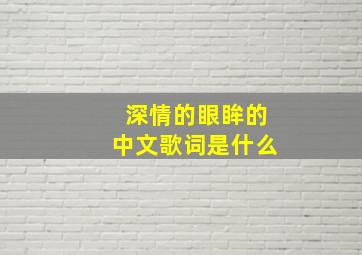 深情的眼眸的中文歌词是什么