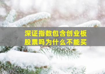 深证指数包含创业板股票吗为什么不能买