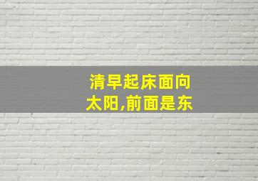 清早起床面向太阳,前面是东