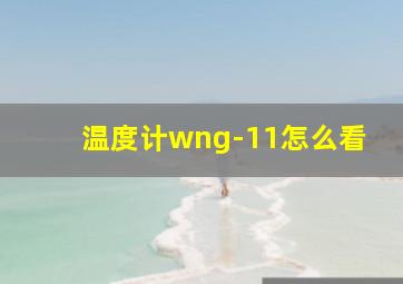 温度计wng-11怎么看