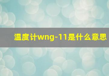 温度计wng-11是什么意思