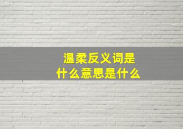 温柔反义词是什么意思是什么