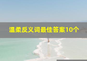 温柔反义词最佳答案10个