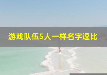 游戏队伍5人一样名字逗比