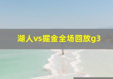 湖人vs掘金全场回放g3