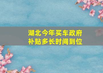 湖北今年买车政府补贴多长时间到位