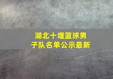 湖北十堰篮球男子队名单公示最新