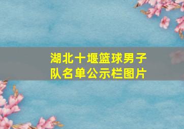 湖北十堰篮球男子队名单公示栏图片