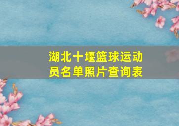 湖北十堰篮球运动员名单照片查询表