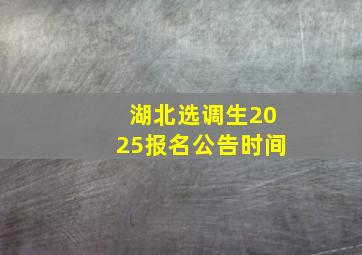 湖北选调生2025报名公告时间