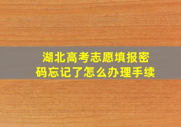 湖北高考志愿填报密码忘记了怎么办理手续