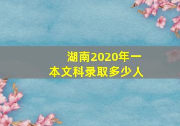 湖南2020年一本文科录取多少人