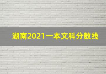 湖南2021一本文科分数线