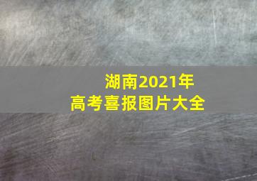 湖南2021年高考喜报图片大全