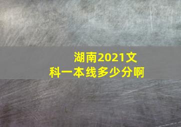 湖南2021文科一本线多少分啊