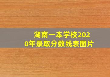 湖南一本学校2020年录取分数线表图片