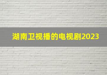 湖南卫视播的电视剧2023