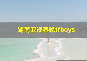 湖南卫视春晚tfboys