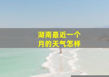 湖南最近一个月的天气怎样