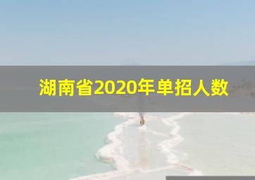 湖南省2020年单招人数