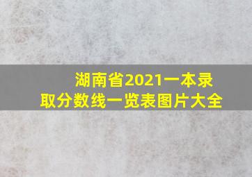 湖南省2021一本录取分数线一览表图片大全