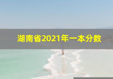 湖南省2021年一本分数