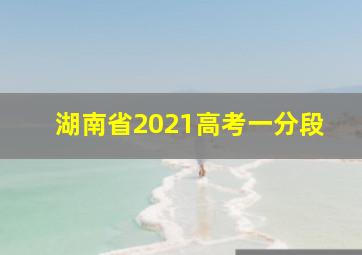 湖南省2021高考一分段