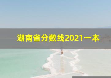 湖南省分数线2021一本