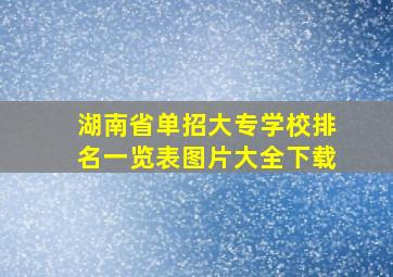 湖南省单招大专学校排名一览表图片大全下载