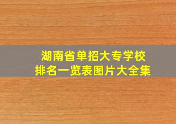 湖南省单招大专学校排名一览表图片大全集