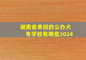 湖南省单招的公办大专学校有哪些2024