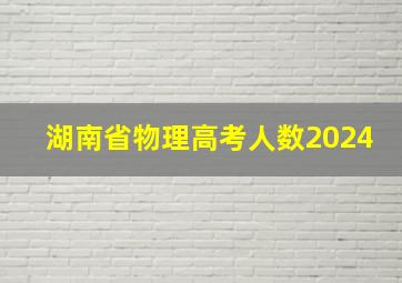 湖南省物理高考人数2024