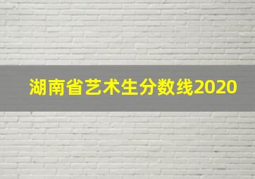 湖南省艺术生分数线2020