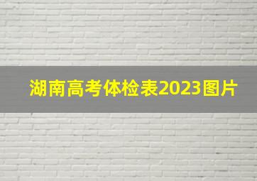 湖南高考体检表2023图片