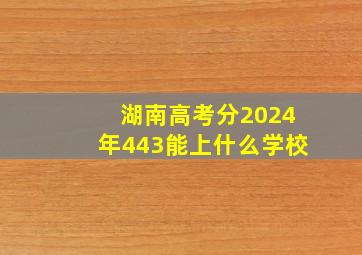 湖南高考分2024年443能上什么学校