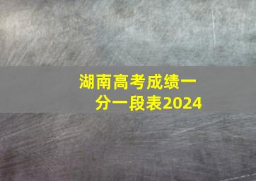 湖南高考成绩一分一段表2024