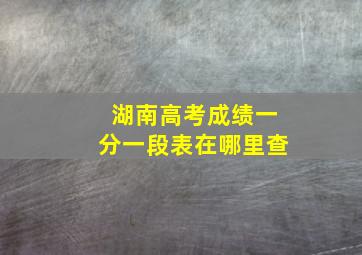 湖南高考成绩一分一段表在哪里查