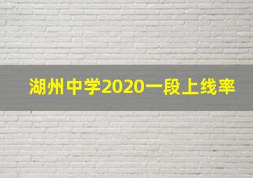 湖州中学2020一段上线率