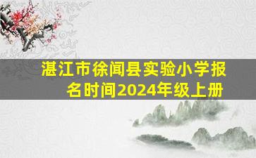 湛江市徐闻县实验小学报名时间2024年级上册