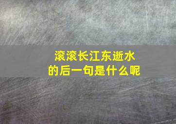 滚滚长江东逝水的后一句是什么呢