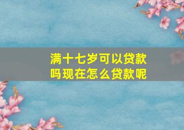 满十七岁可以贷款吗现在怎么贷款呢