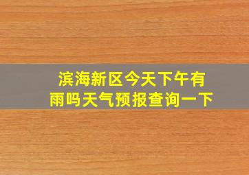 滨海新区今天下午有雨吗天气预报查询一下