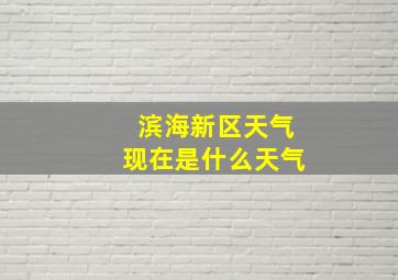 滨海新区天气现在是什么天气