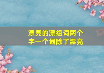 漂亮的漂组词两个字一个词除了漂亮