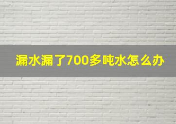 漏水漏了700多吨水怎么办