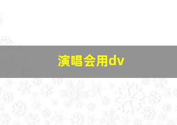 演唱会用dv