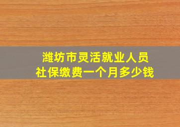 潍坊市灵活就业人员社保缴费一个月多少钱